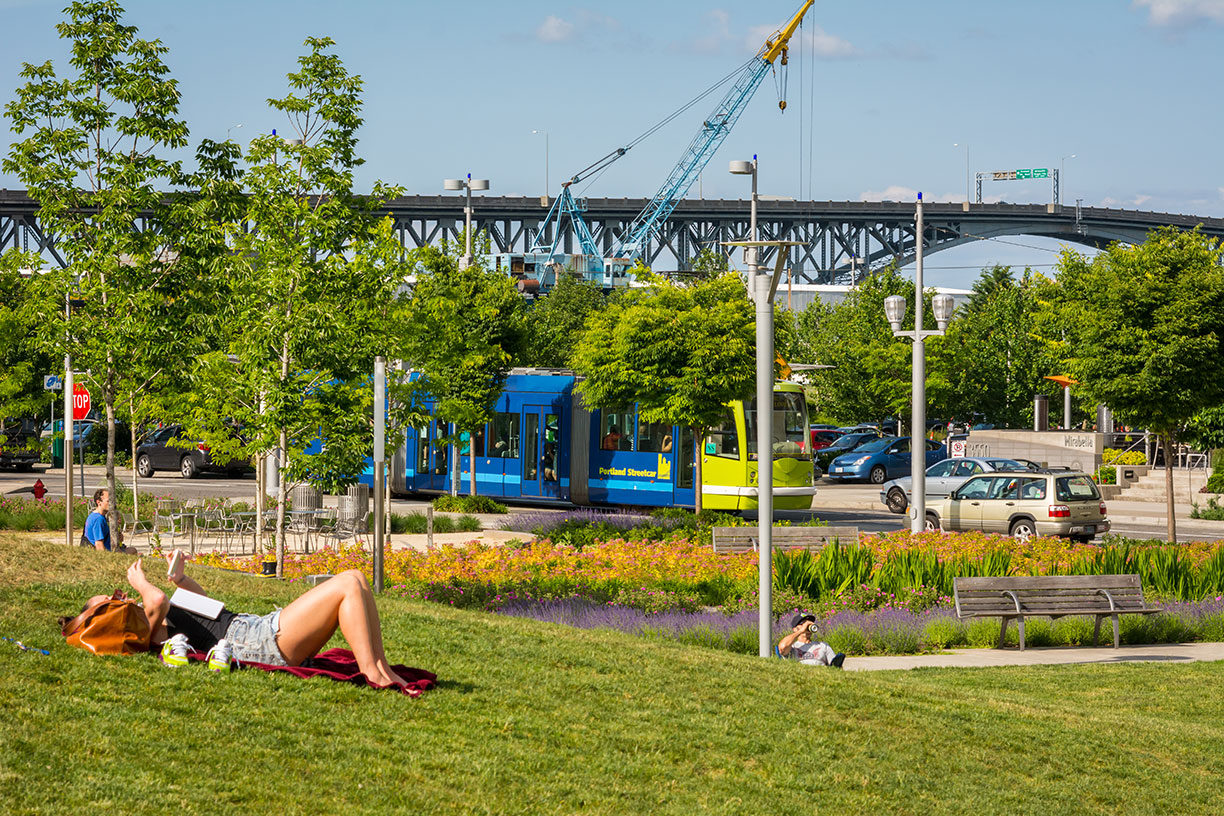 Multi-Use Lawn