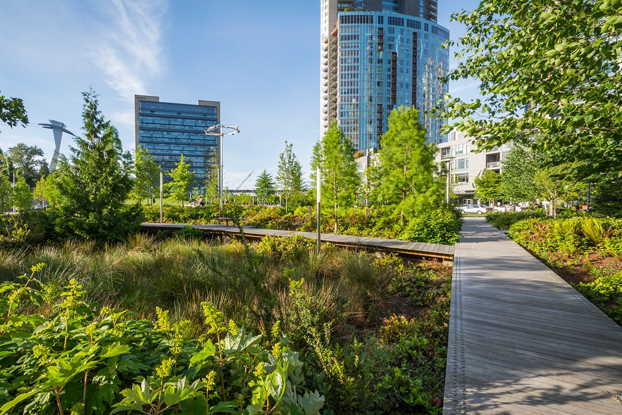 Naturalized Landscape
