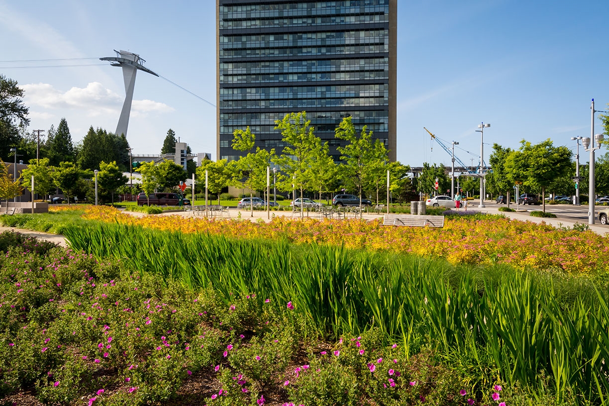 Urban Garden