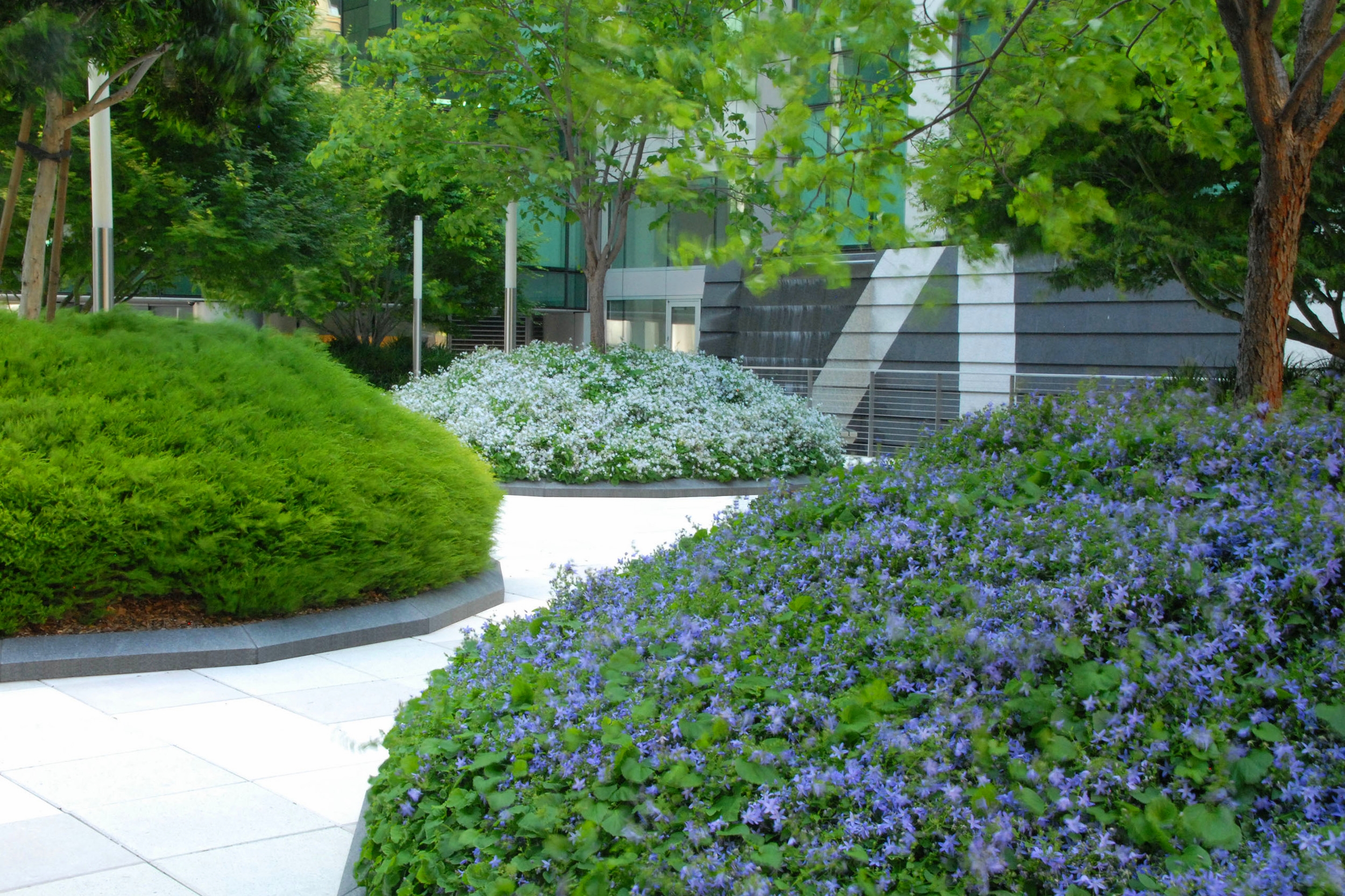 Infinity Courtyard