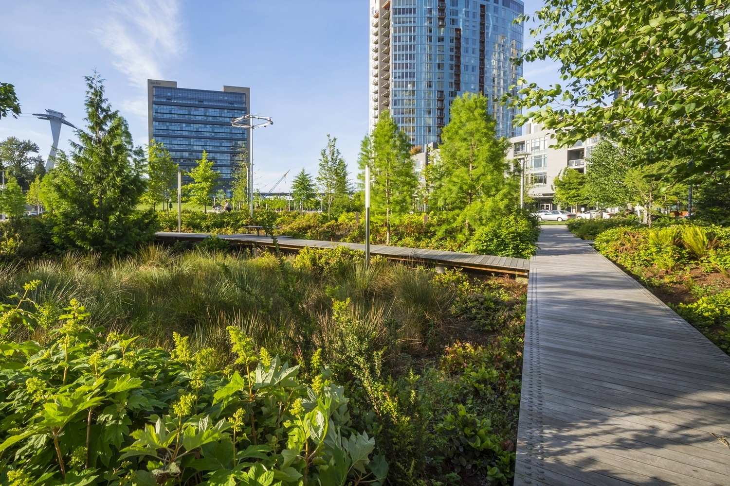 Elizabeth Caruthers Park, Portland