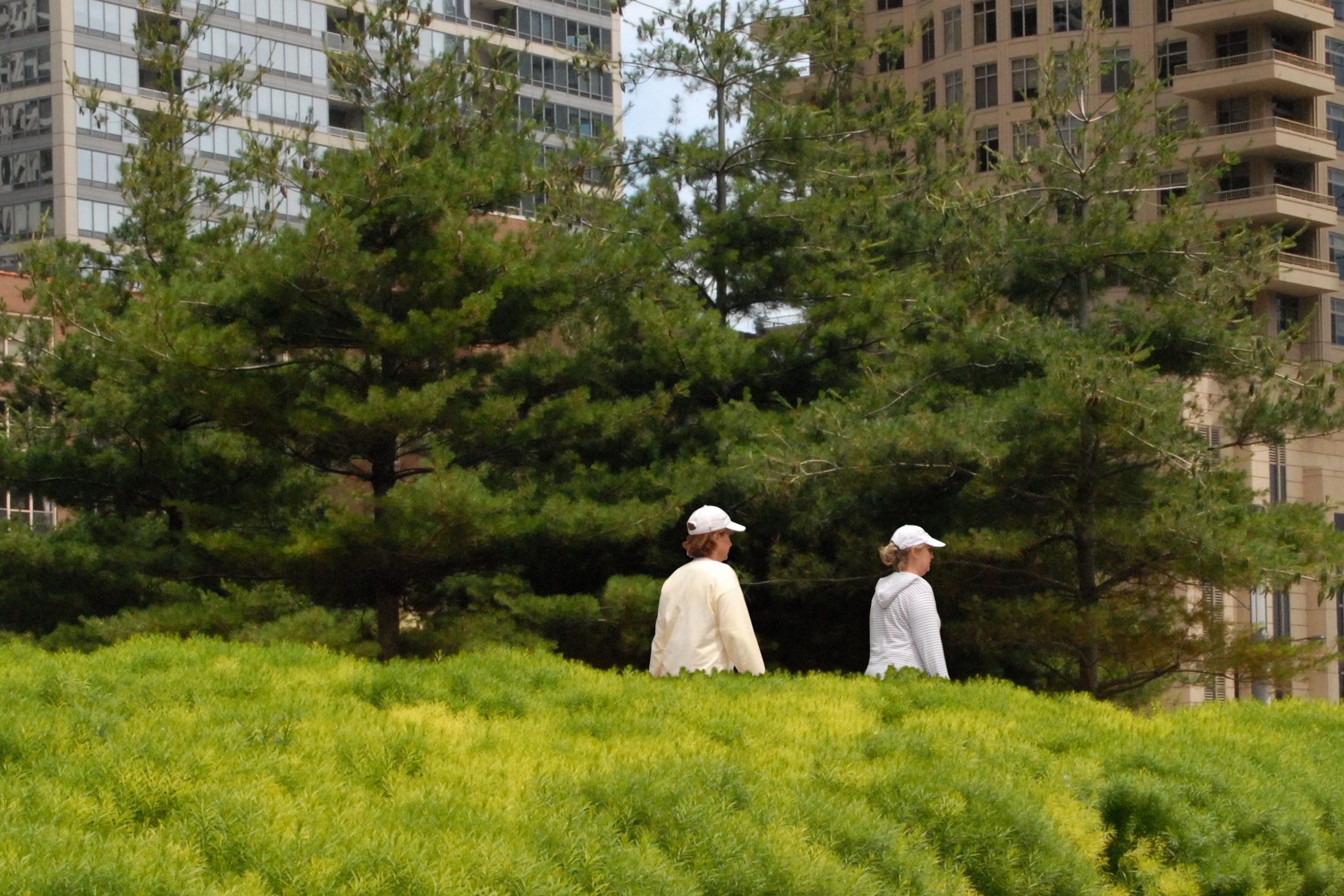 Park Construction and Sustainability