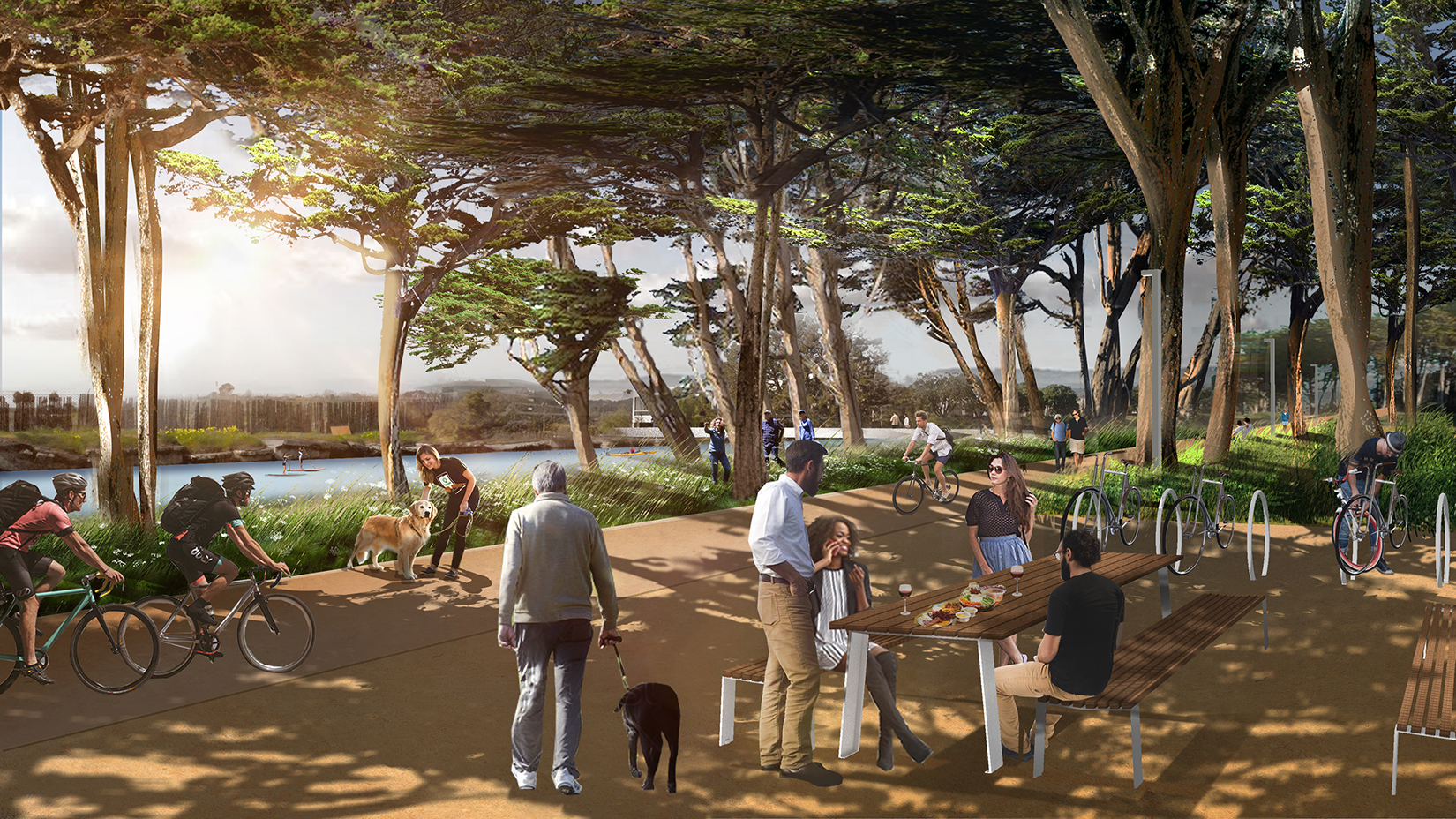 Burlingame Point West Shoreline