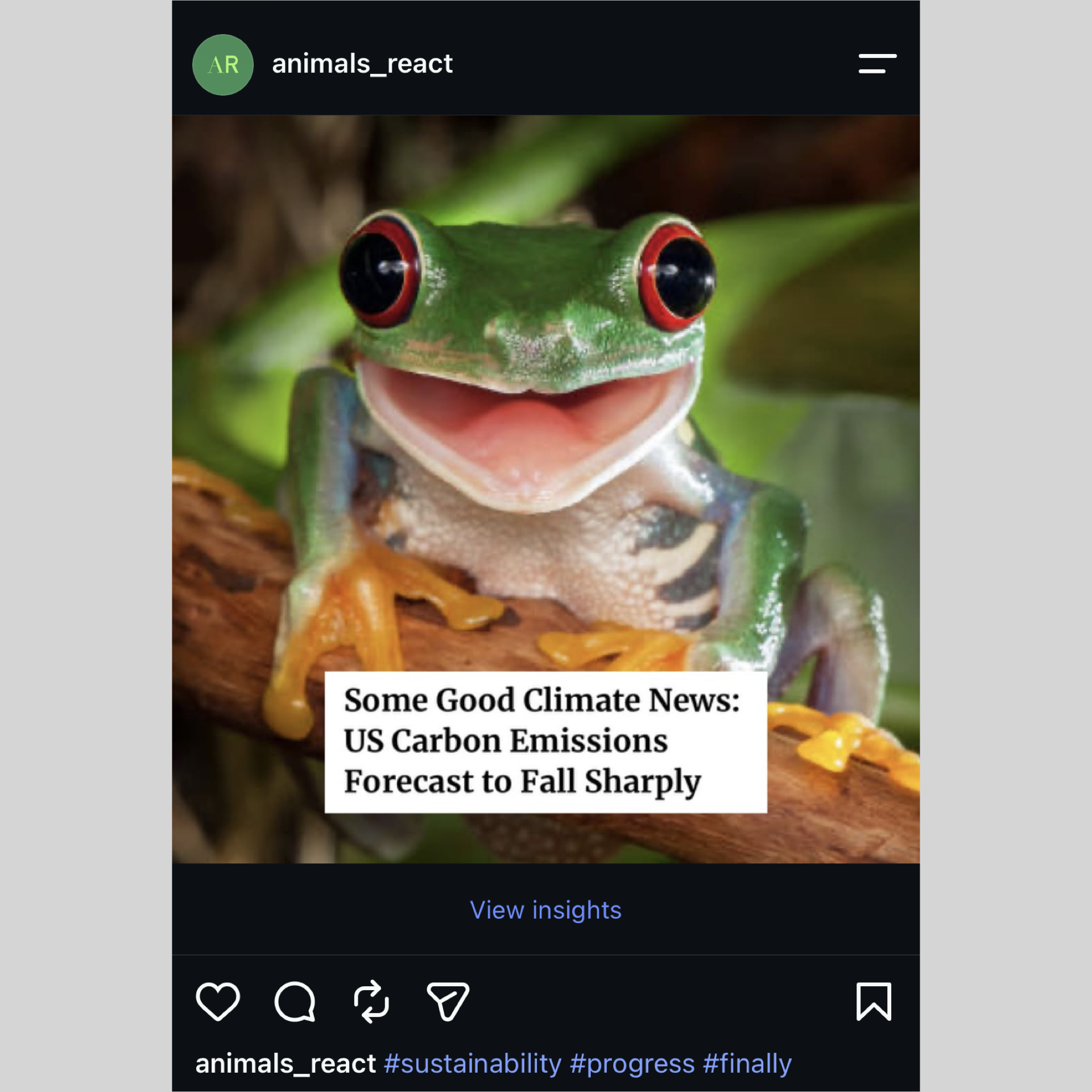 Animals React From Insta Formatted.003.png