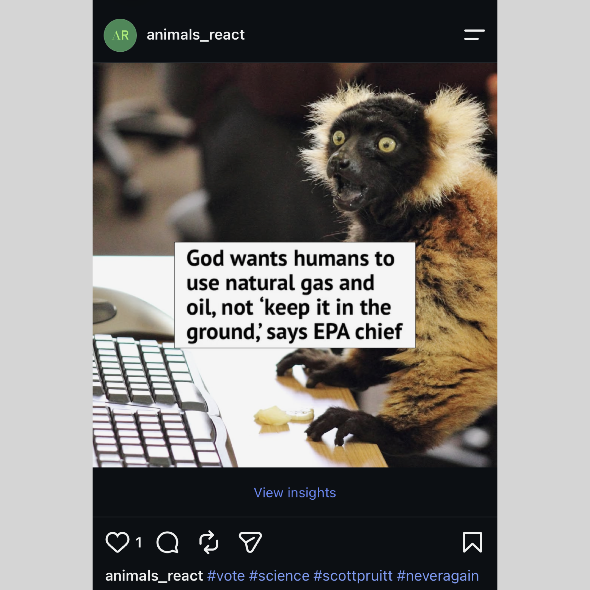 Animals React From Insta Formatted.005.png
