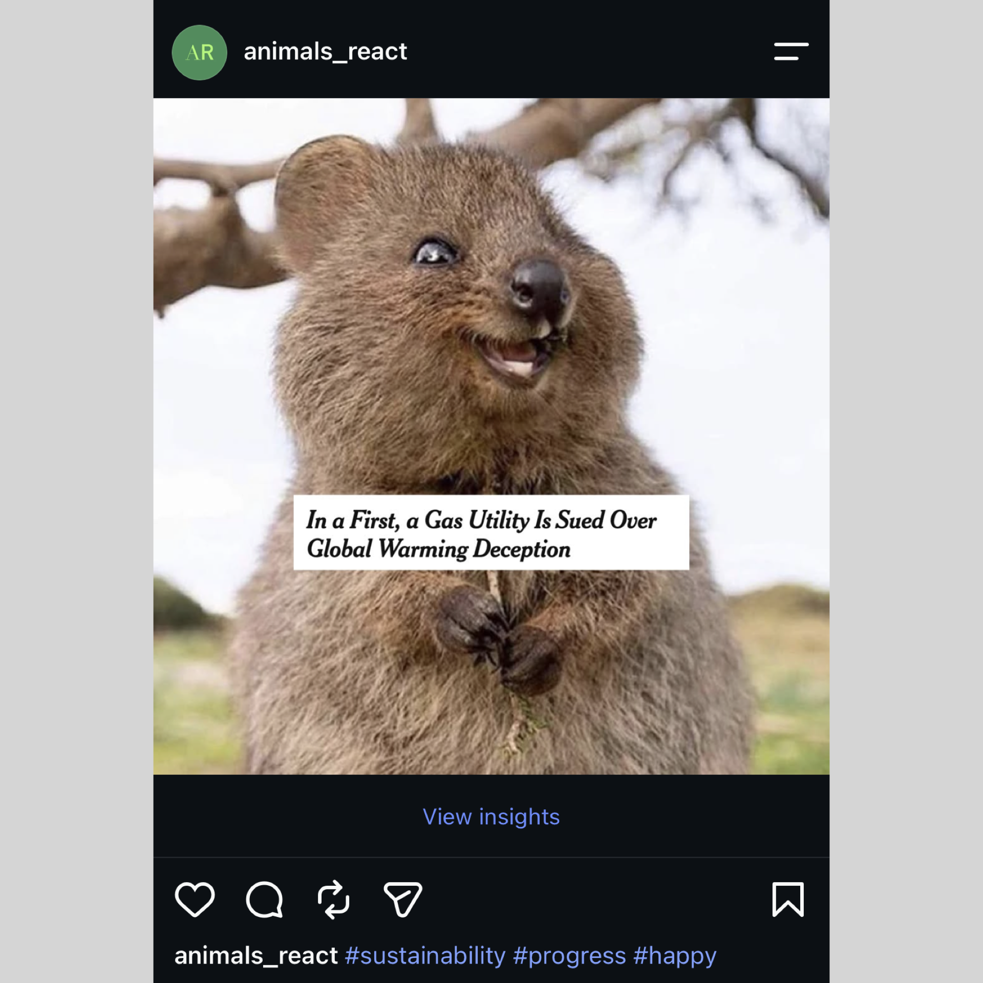 Animals React From Insta Formatted.006.png