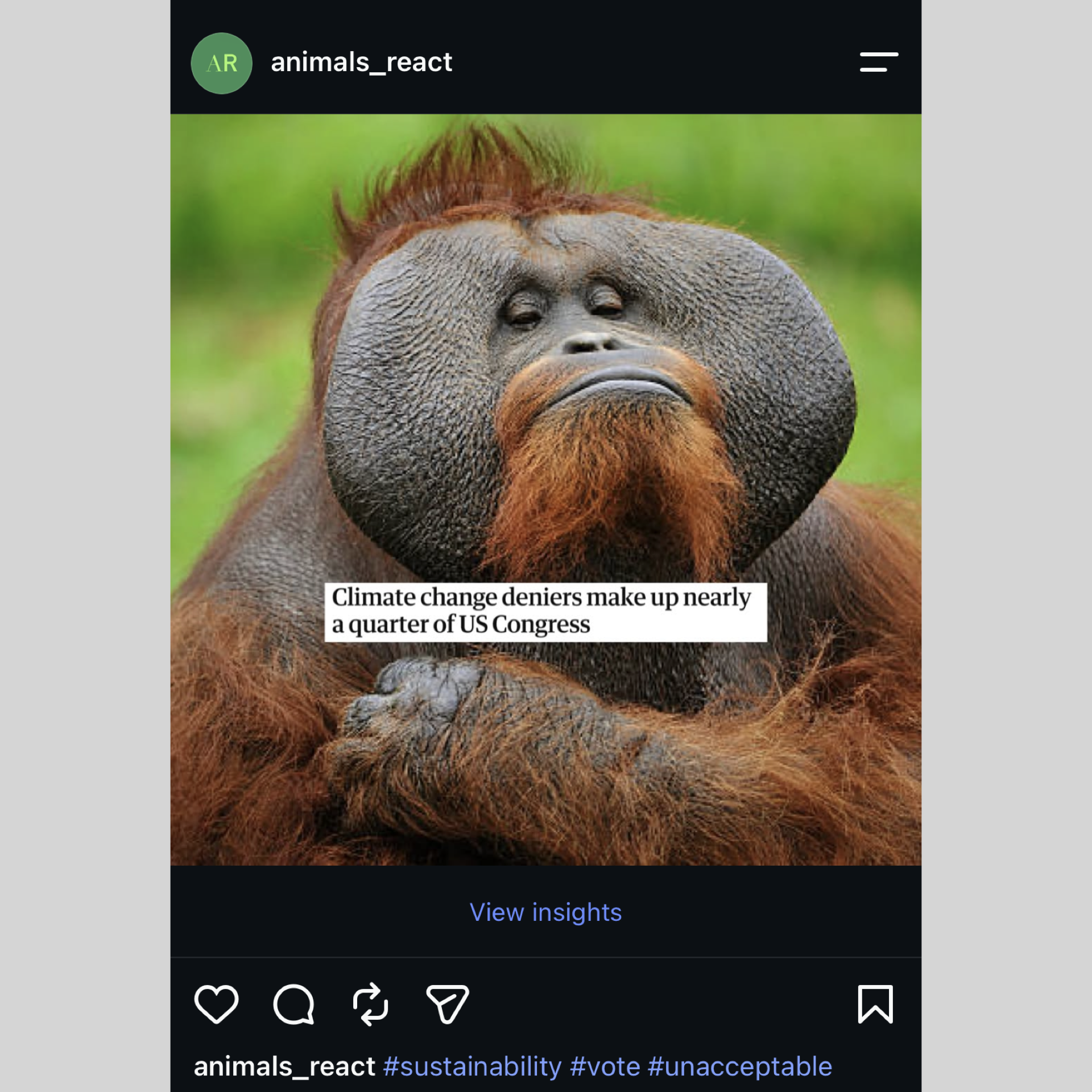 Animals React From Insta Formatted.007.png