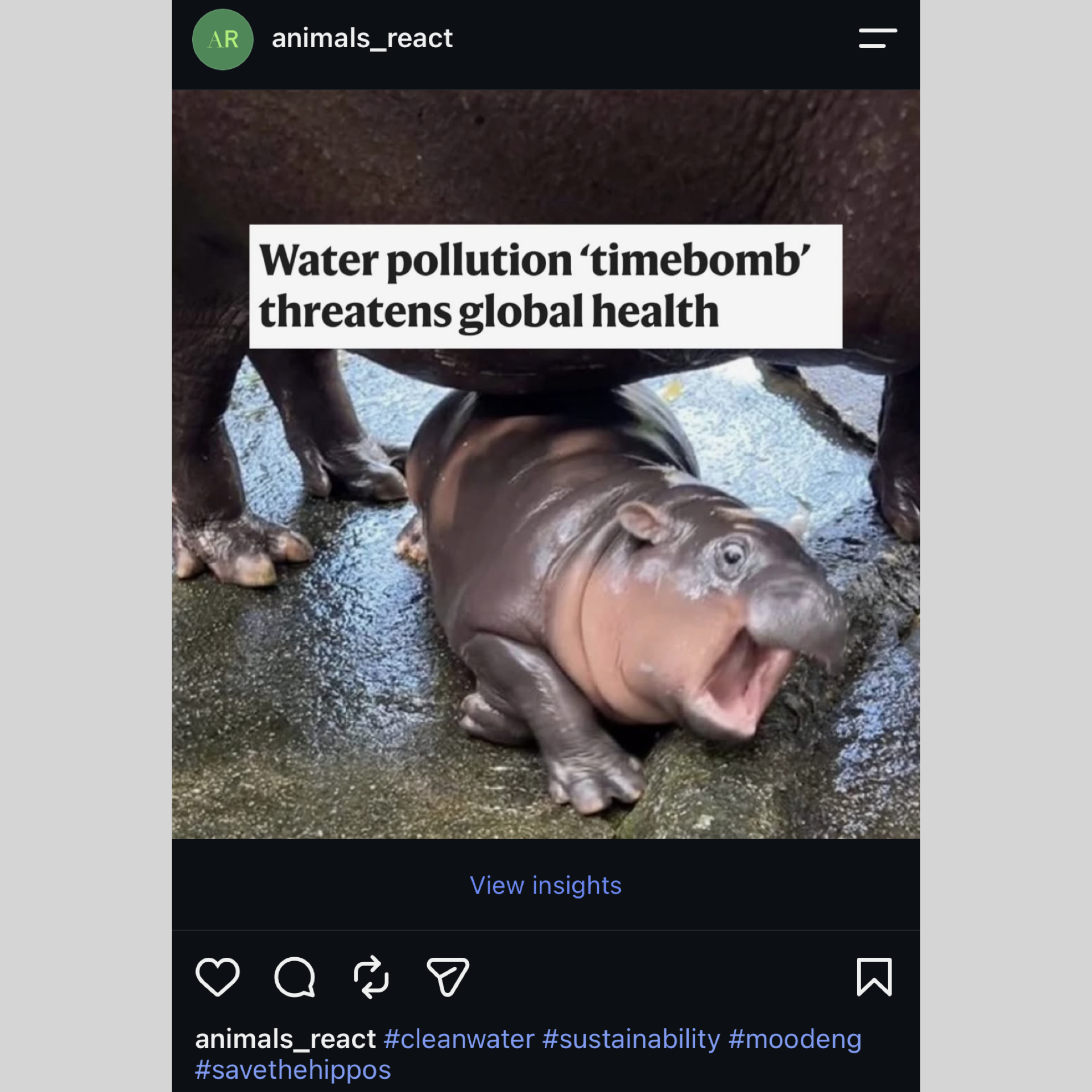 Animals React From Insta Formatted.008.png