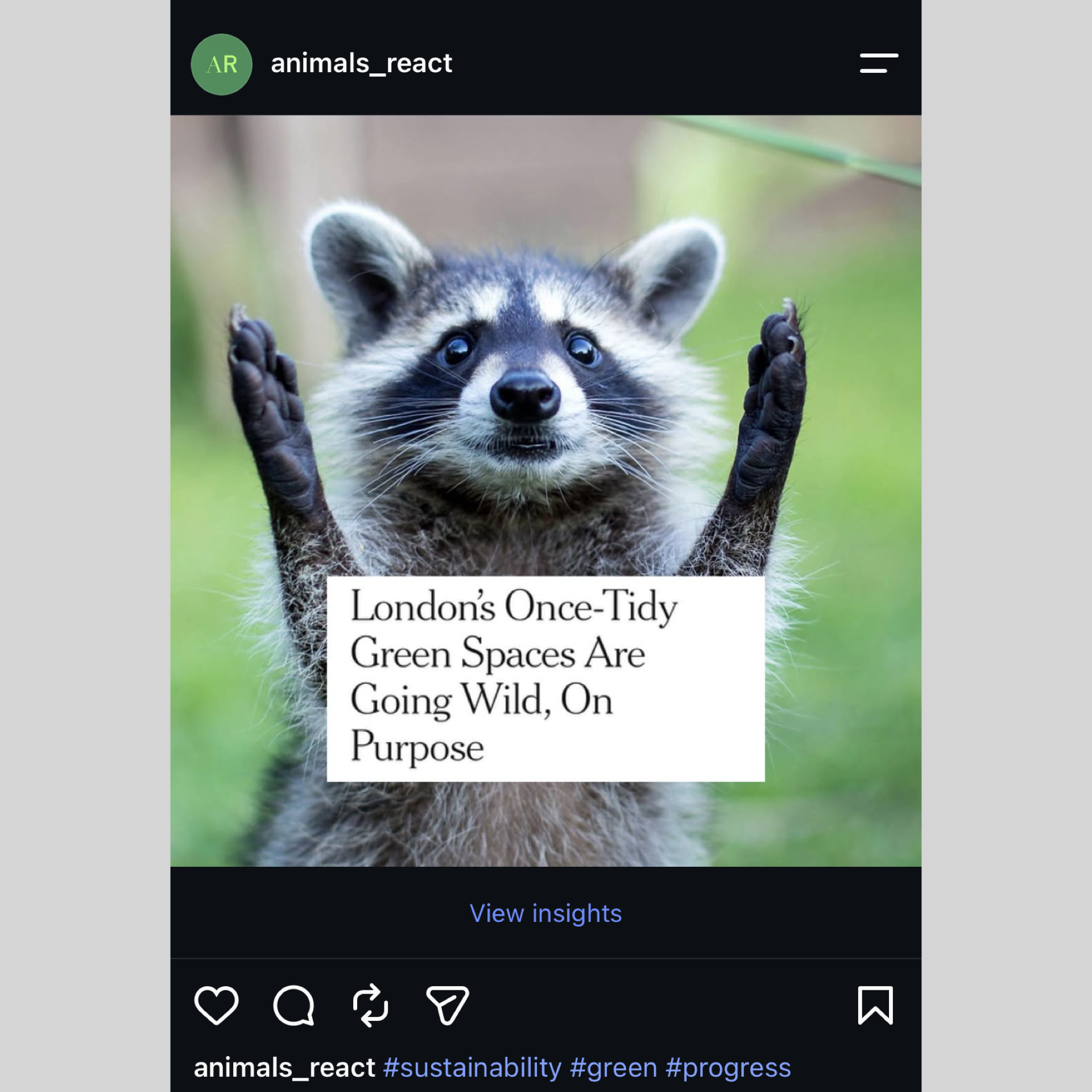 Animals React From Insta Formatted.009.png