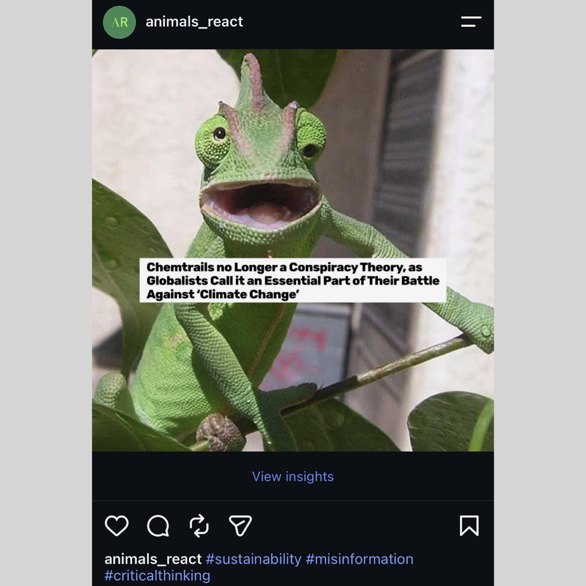 Animals React From Insta Formatted.010.png