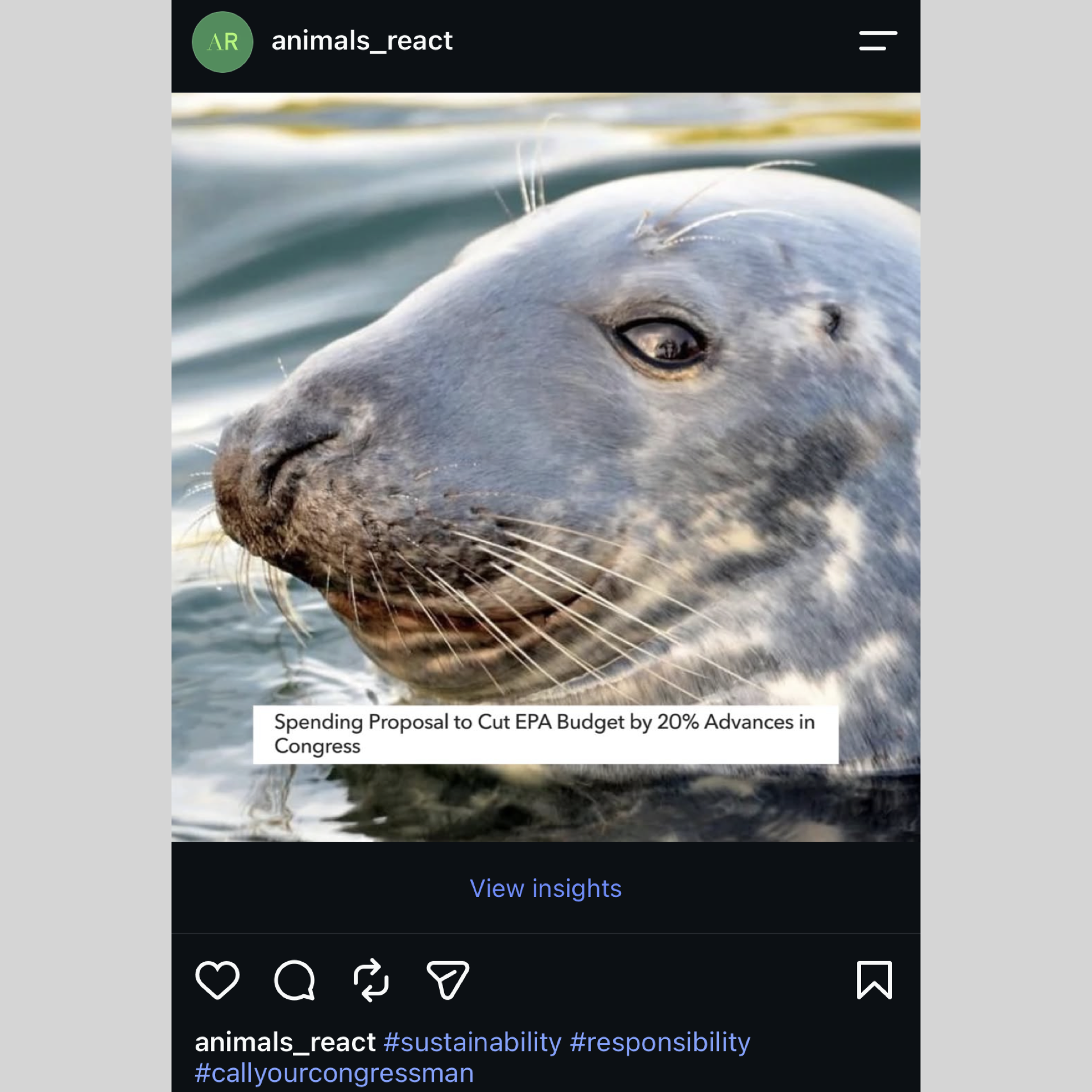 Animals React From Insta Formatted.011.png