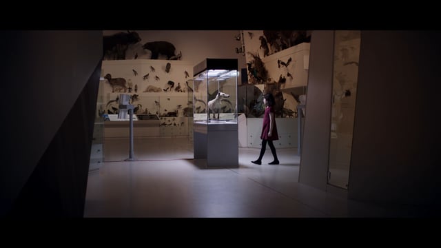 Museum Vic - Discover 30sec