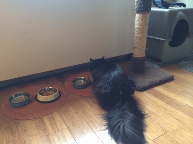 A happy client eating breakfast
