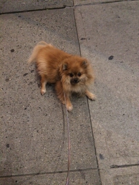 Taking a client on a nighttime walk