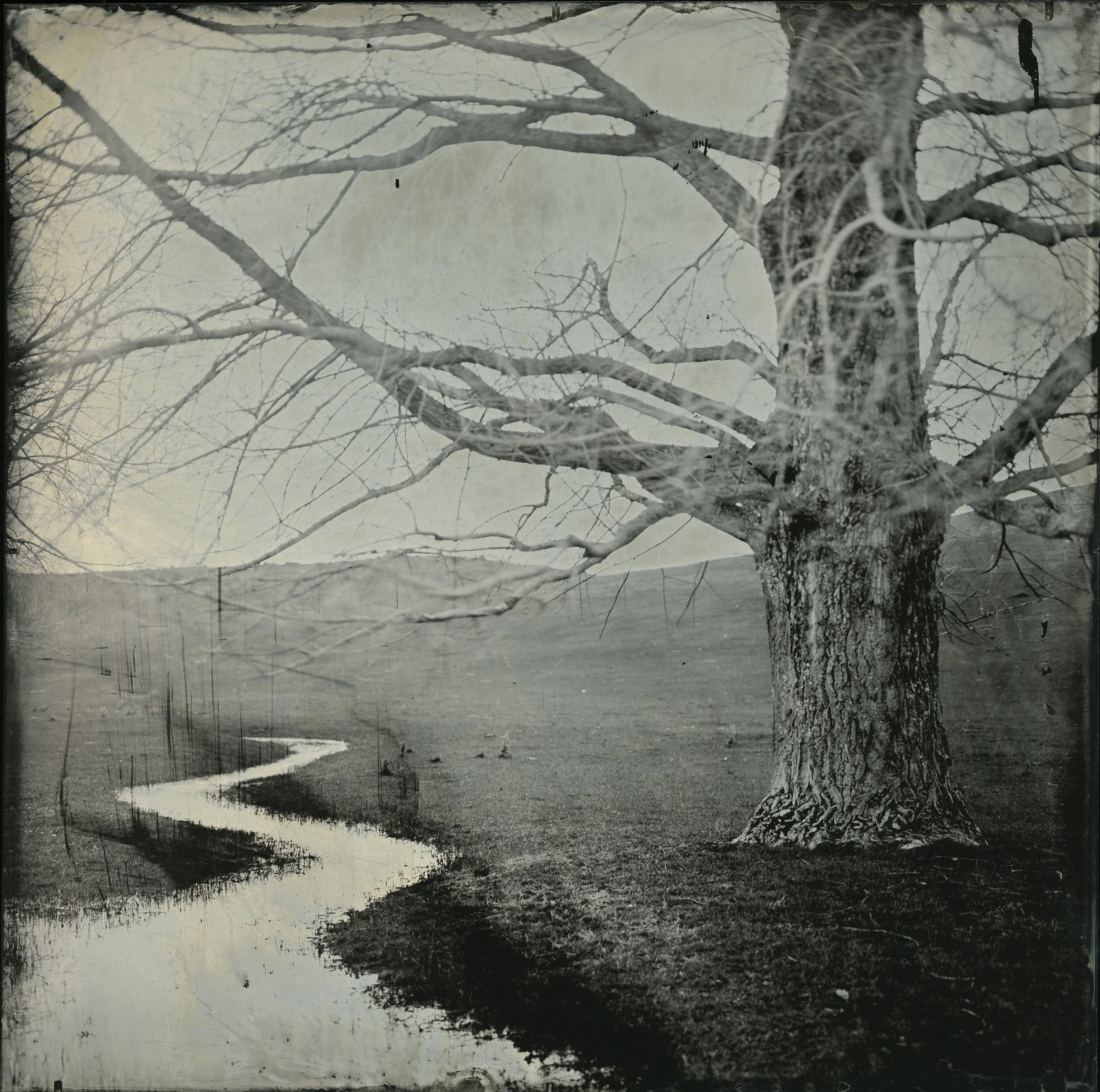 Huntworth Creek
