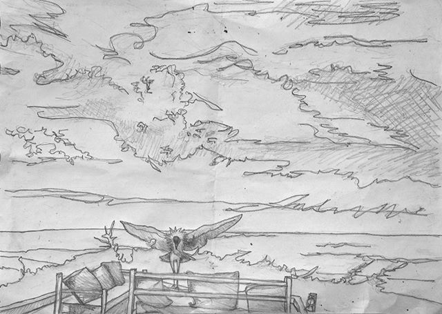 Here's the pencil sketch for the painting #bigsky #clouds #crestedcrane #palmtrees #palmtrees🌴 #lookoutpoint #lebelvedere #capskirring #capskirring🌴 #lapaillote #casamance #tropicaloilpainting #tropicaloilpaintings #annieoklaas #painter #paintersof