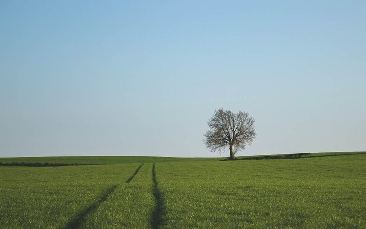 Atmospheric Perspective