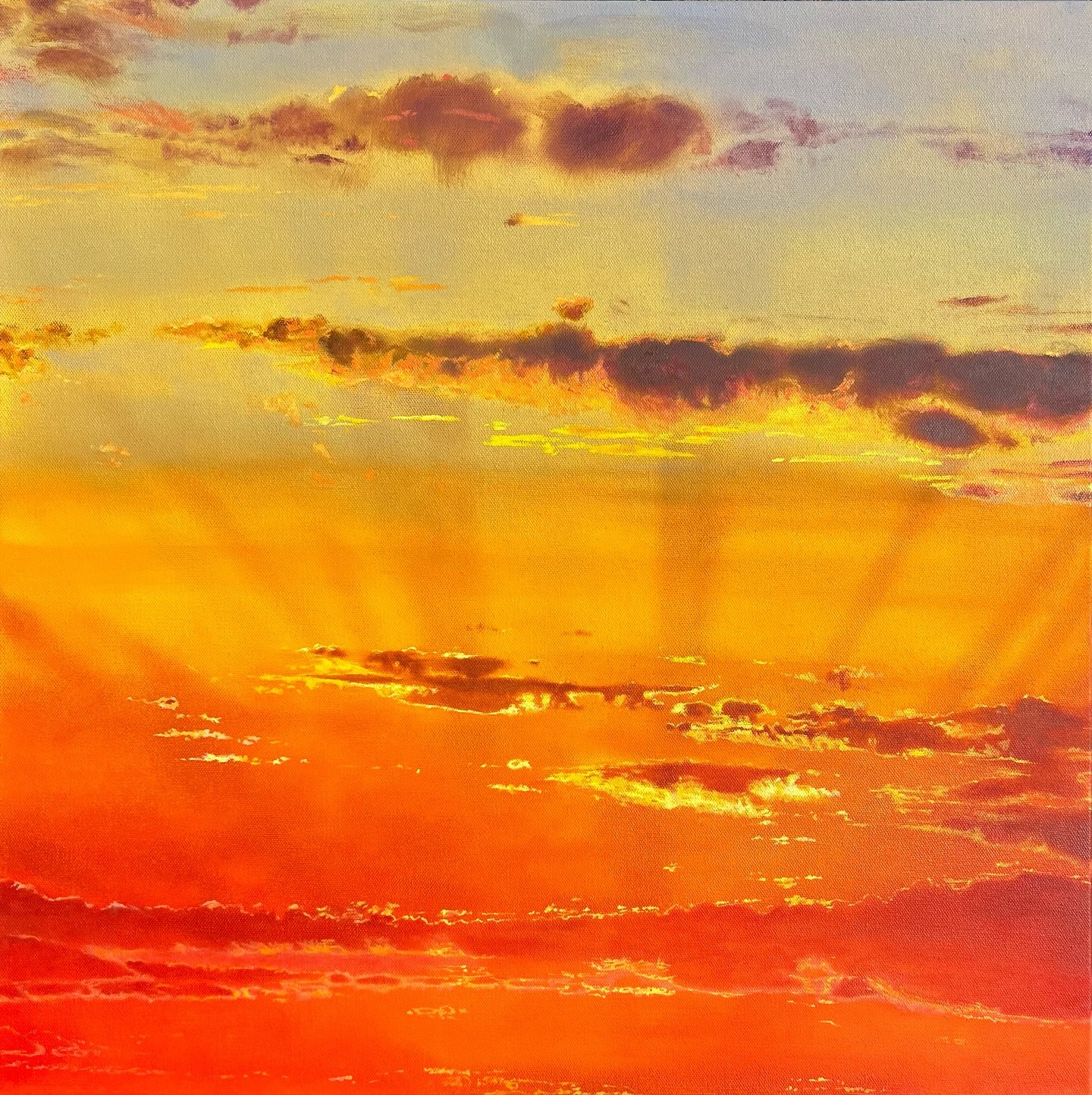 My neighbor sent me this incredible photo of the sky and I had to paint it (swipe to the end to see the one my neighbor sent). I love that people are sending me sky photos now! This one is 24x24 inches, oil on panel.