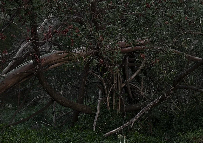 _DSC7558_SL-INSTA 2.jpg