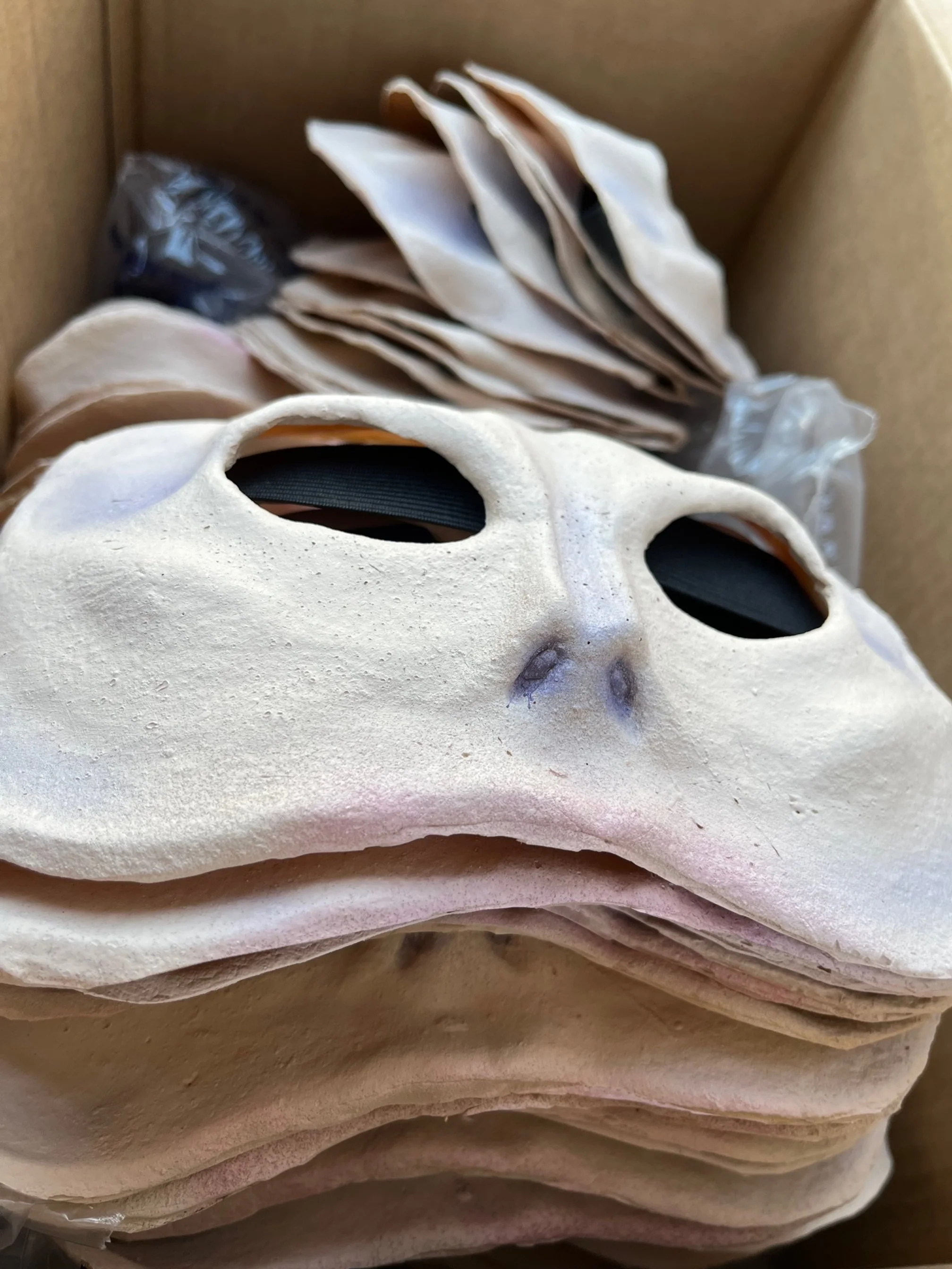 GNARLY TURTLE MASK (NO LENSES) — LISTEN