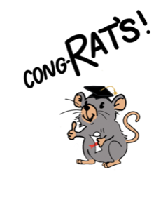 Screen Shot 2019-04-30 at 11.11.46 PM.png