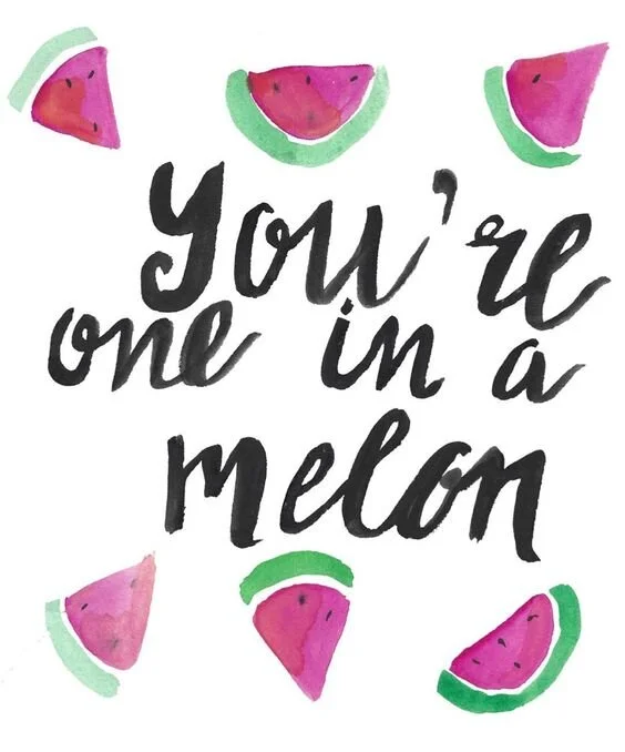 you'reoneinamelon.jpg