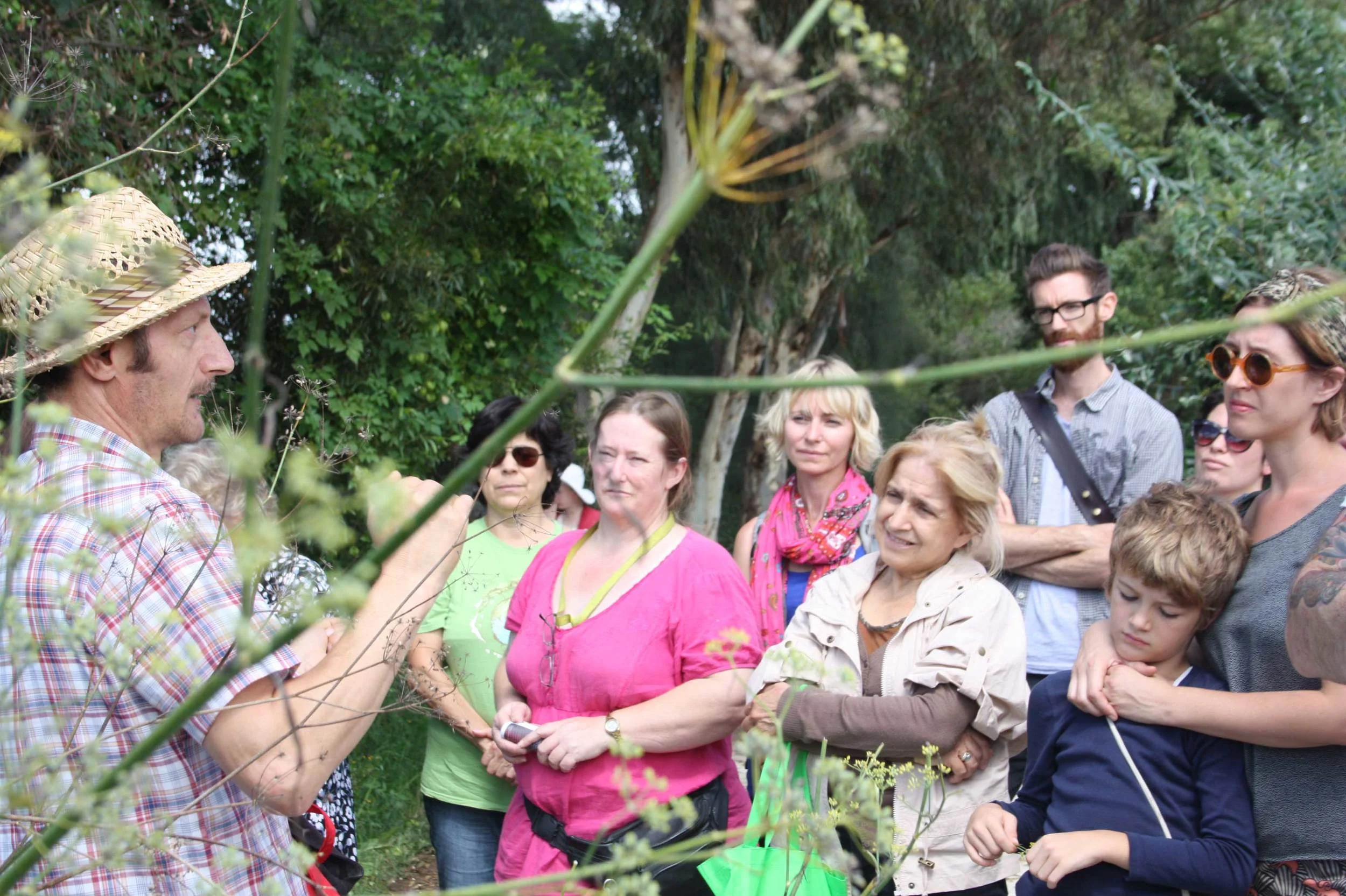 Free wild food workshop in Singleton Feb 28