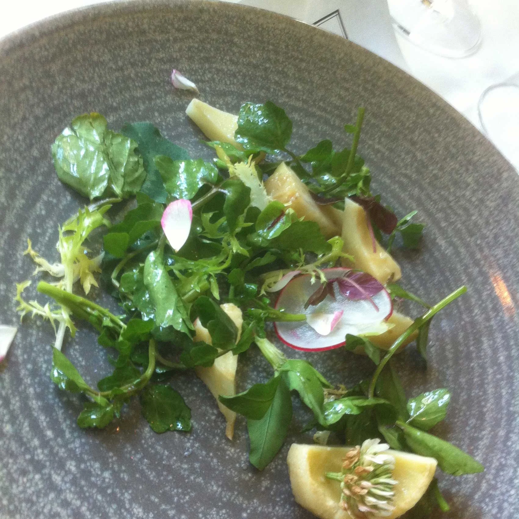 Wild Autumn treats> are we there yet?