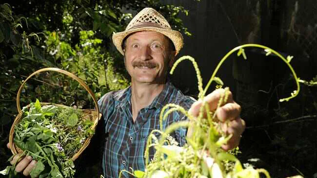 This is when you get to look like a real Wild Man