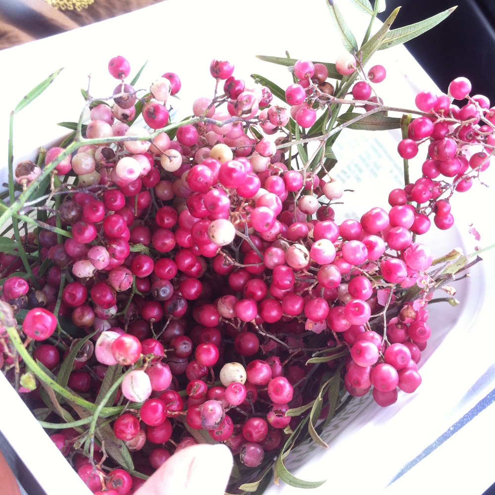 peppercorn_tree_berries.jpg