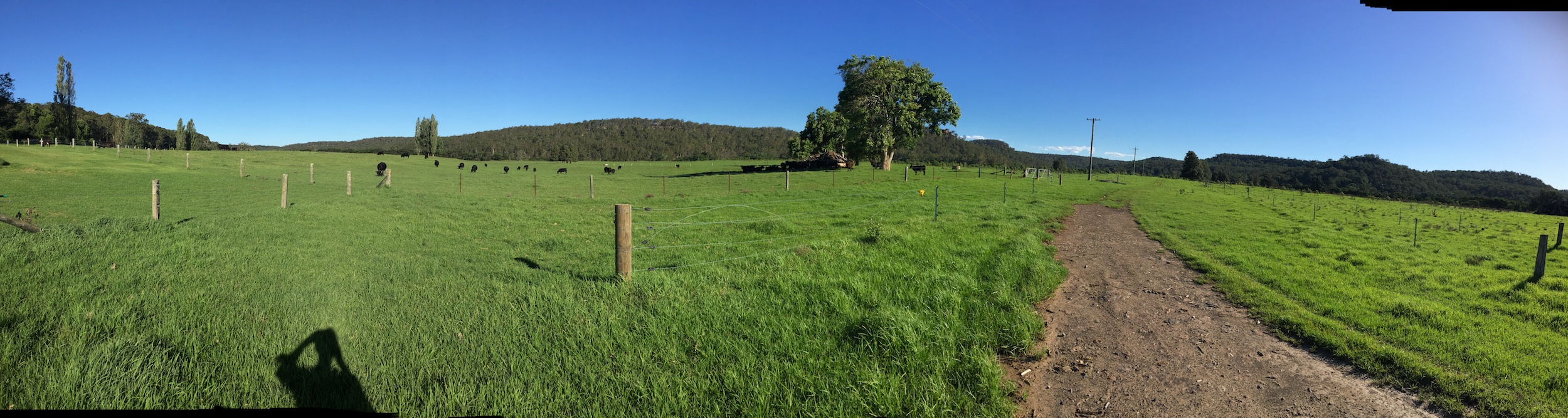 The green fields of deep, rich alluvial soils.