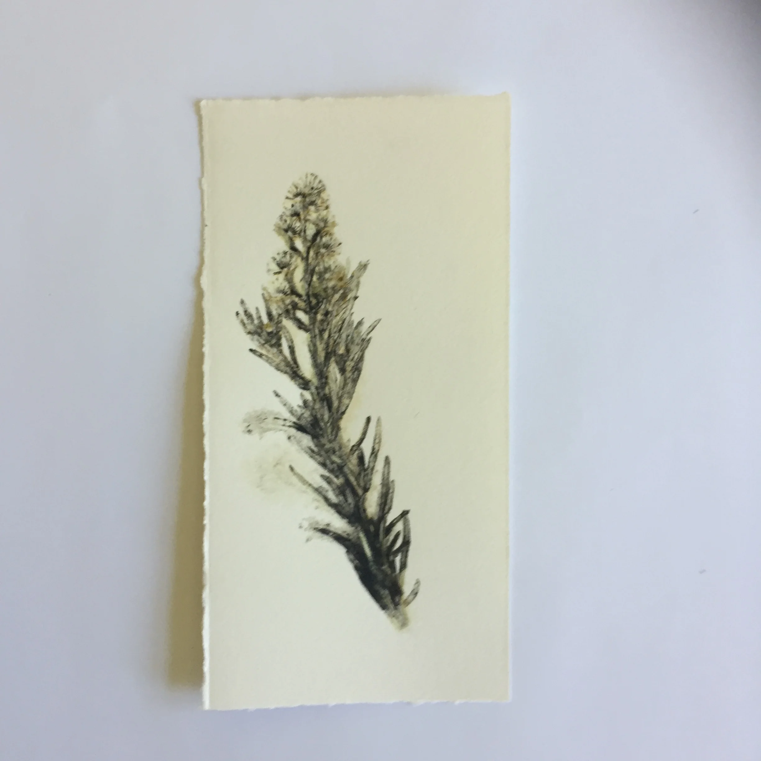 Postcards from Bundanon