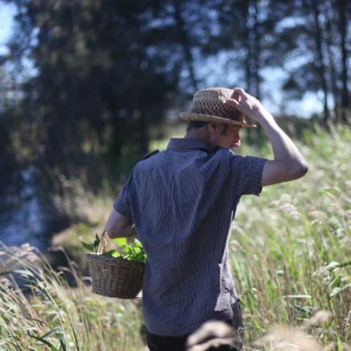 DiegoBonetto-About-Media-foraging-art-Broadsheet-Tim-Grey-500x500.jpg