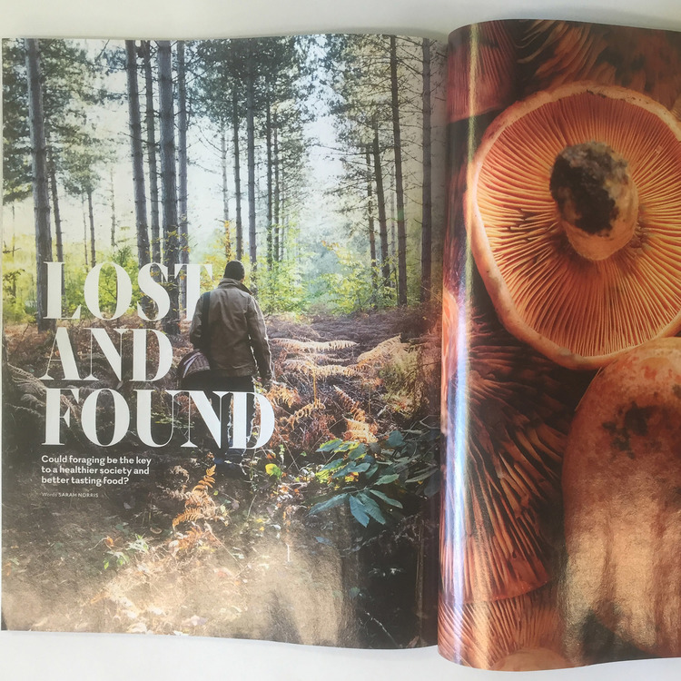 diego-bonetto-art-foraging-Virgin-Magazine-mdeia-article.jpeg