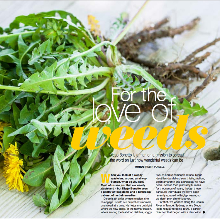 diego-bonetto-Robin-Powell-Your-Garden-Magazine-Interview.jpeg