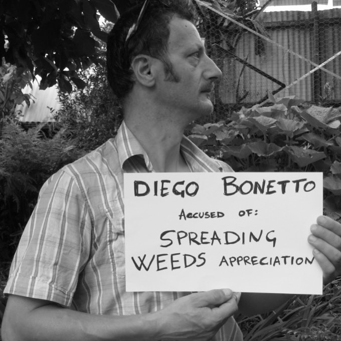 profile-weeds-foraging-nerd.jpg