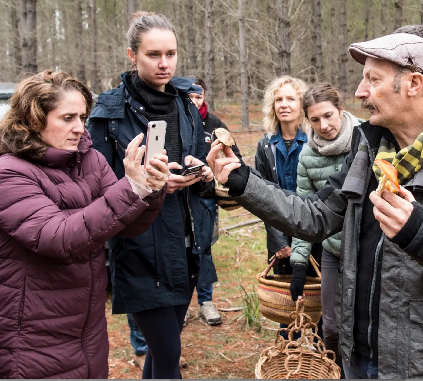 pine mushrooms foraging workshop sydney image by STEVEN SIEWERT .jpg