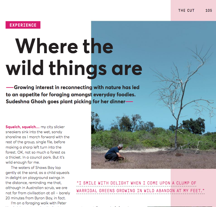 Jetstar magazine foraging article .png