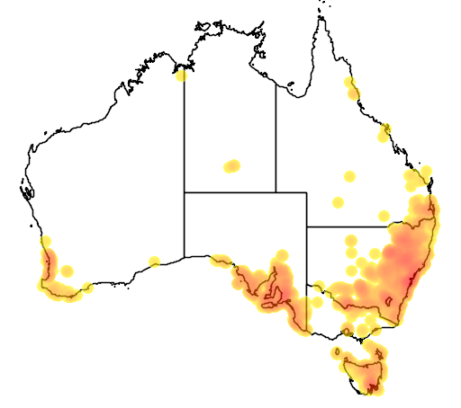 Stellaria-media distribution australia.png