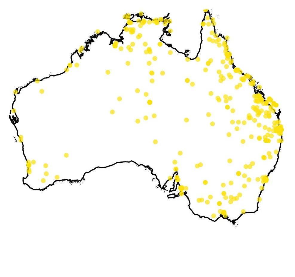 Amaranthus viridis map.jpg