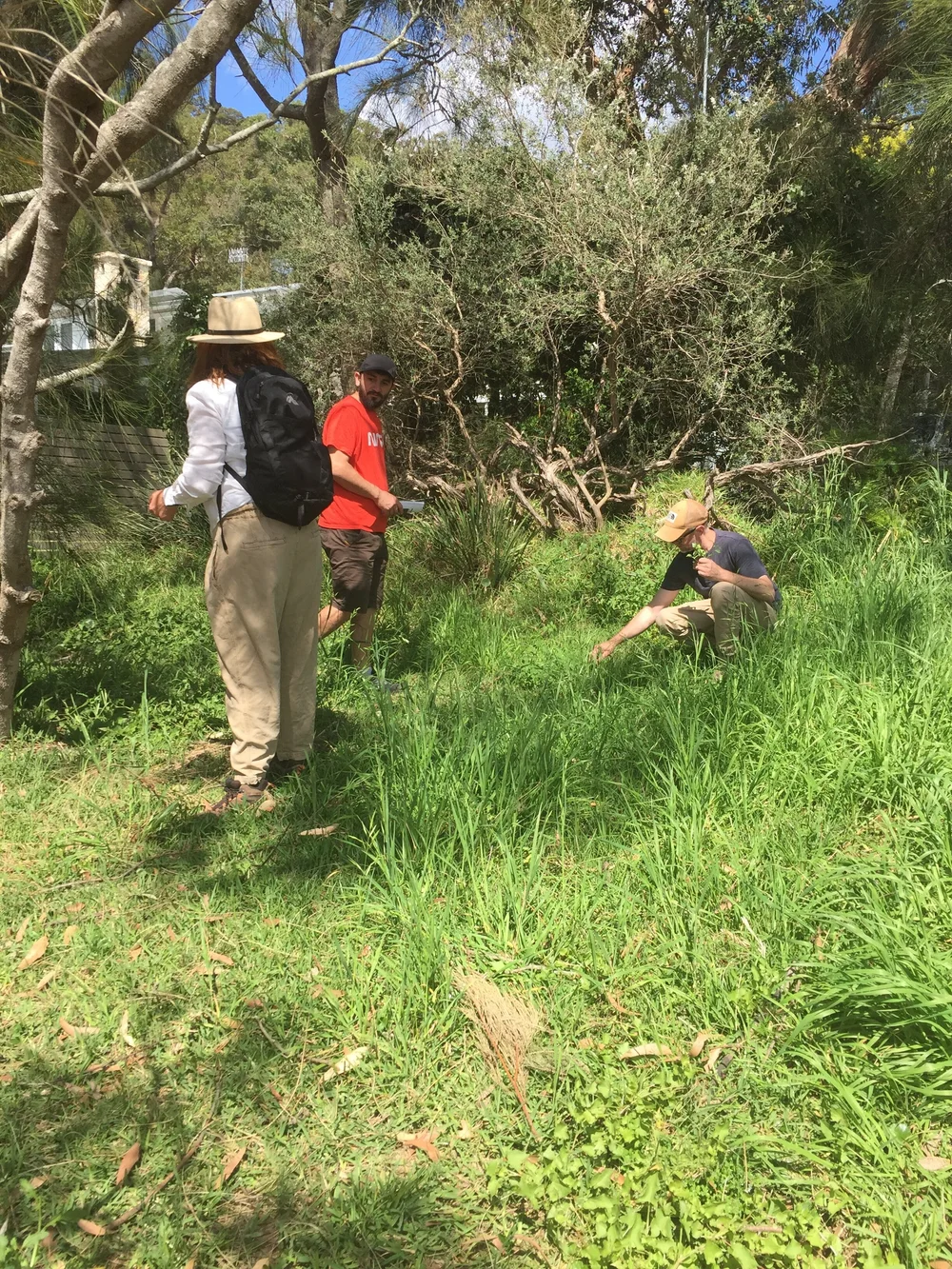 Central Coast Workshop Sept_Image 1.JPG