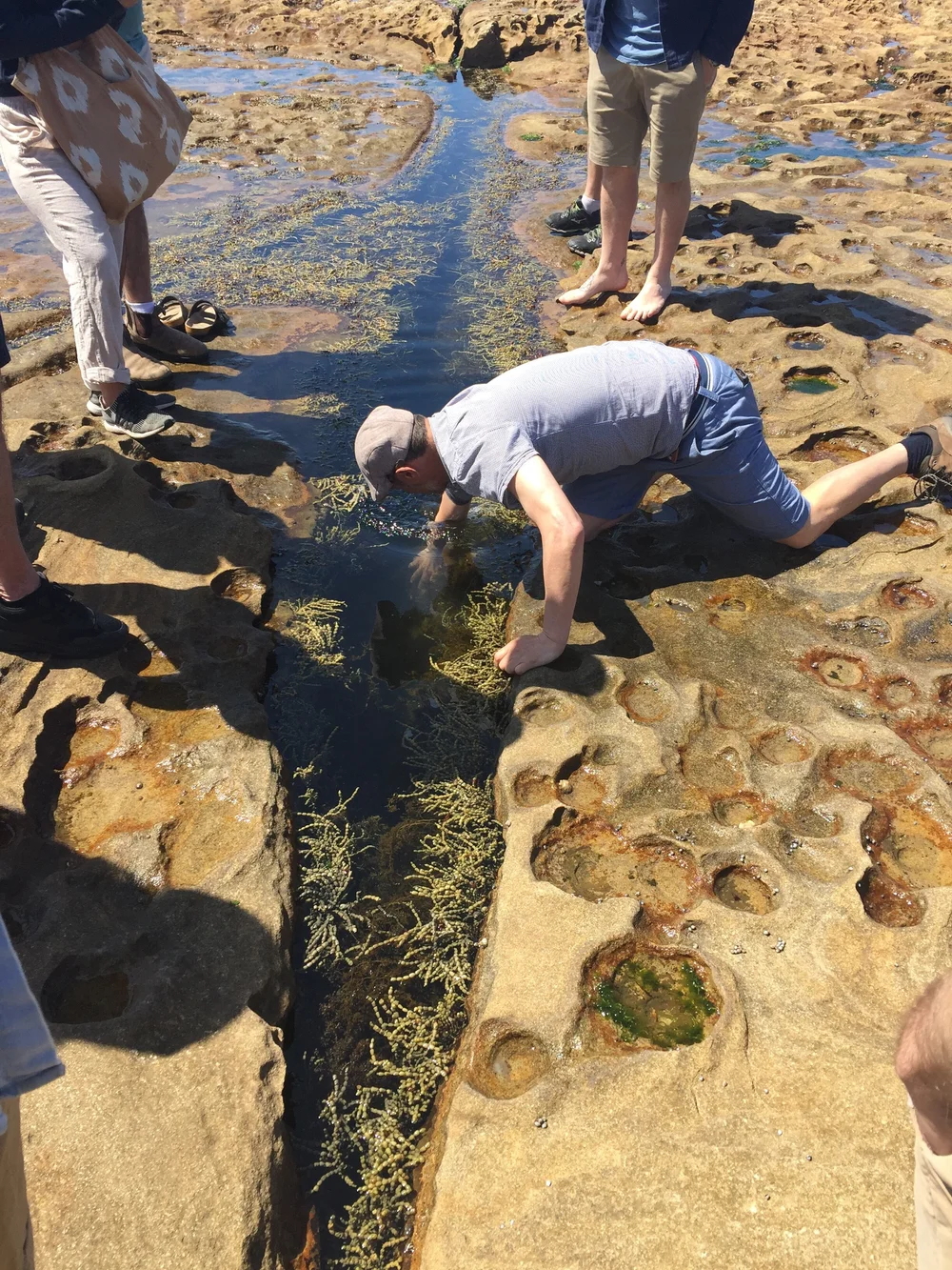 Central Coast Workshop Sept_Image 12.JPG