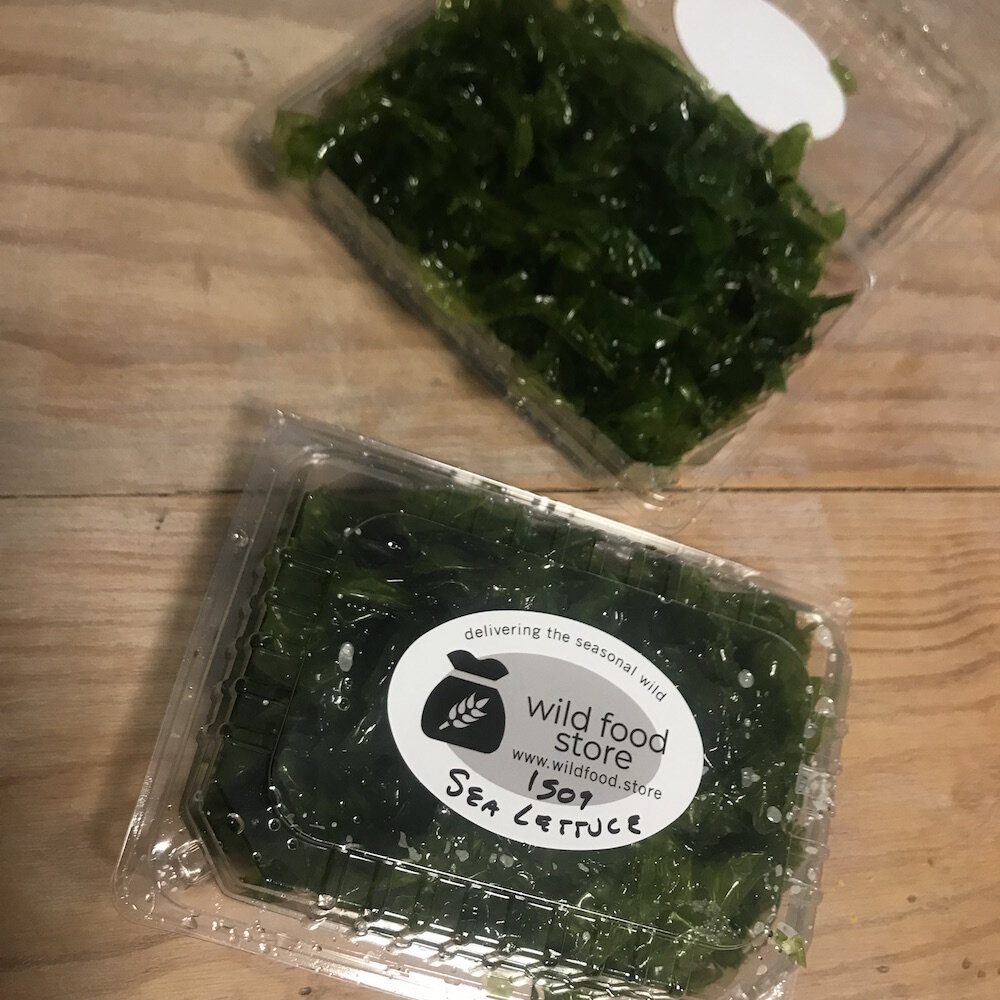 Sea lettuce- Wildfood Store.jpeg