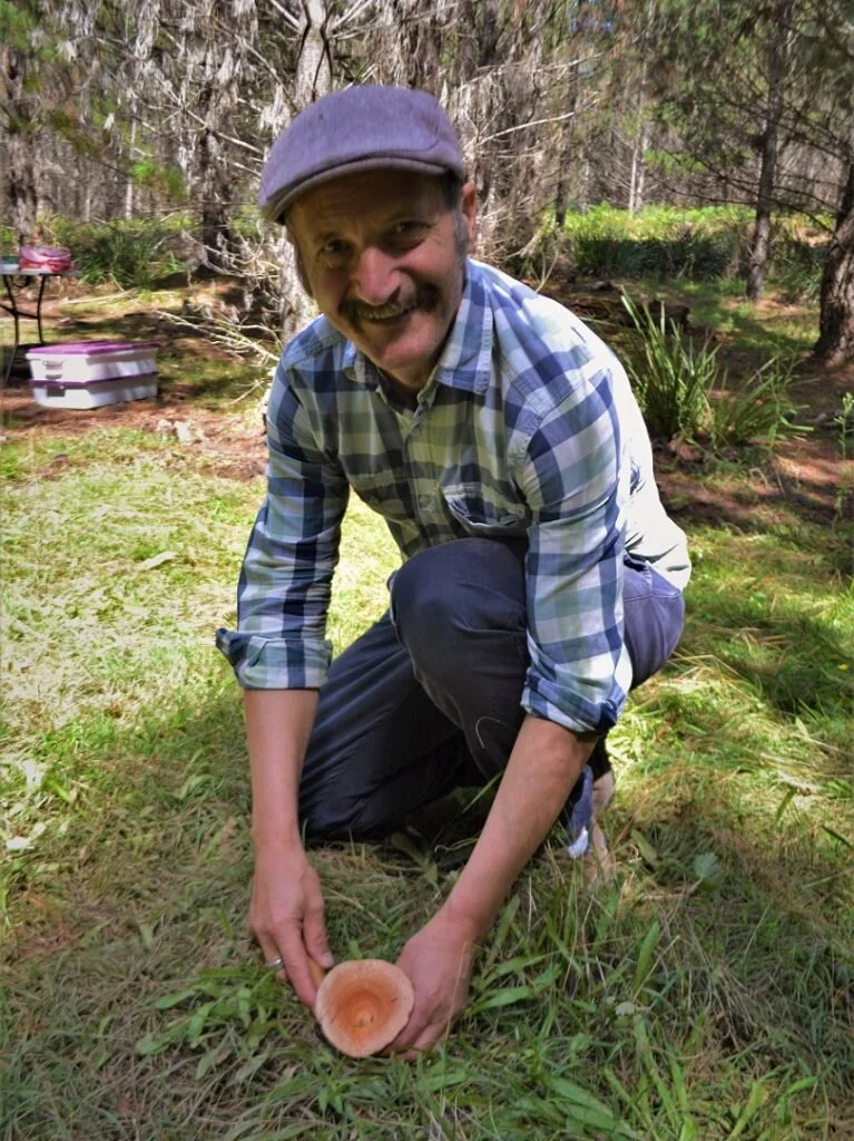 Finding Food In the Forest: How a Pandemic Sparked New Interest In Mushrooms