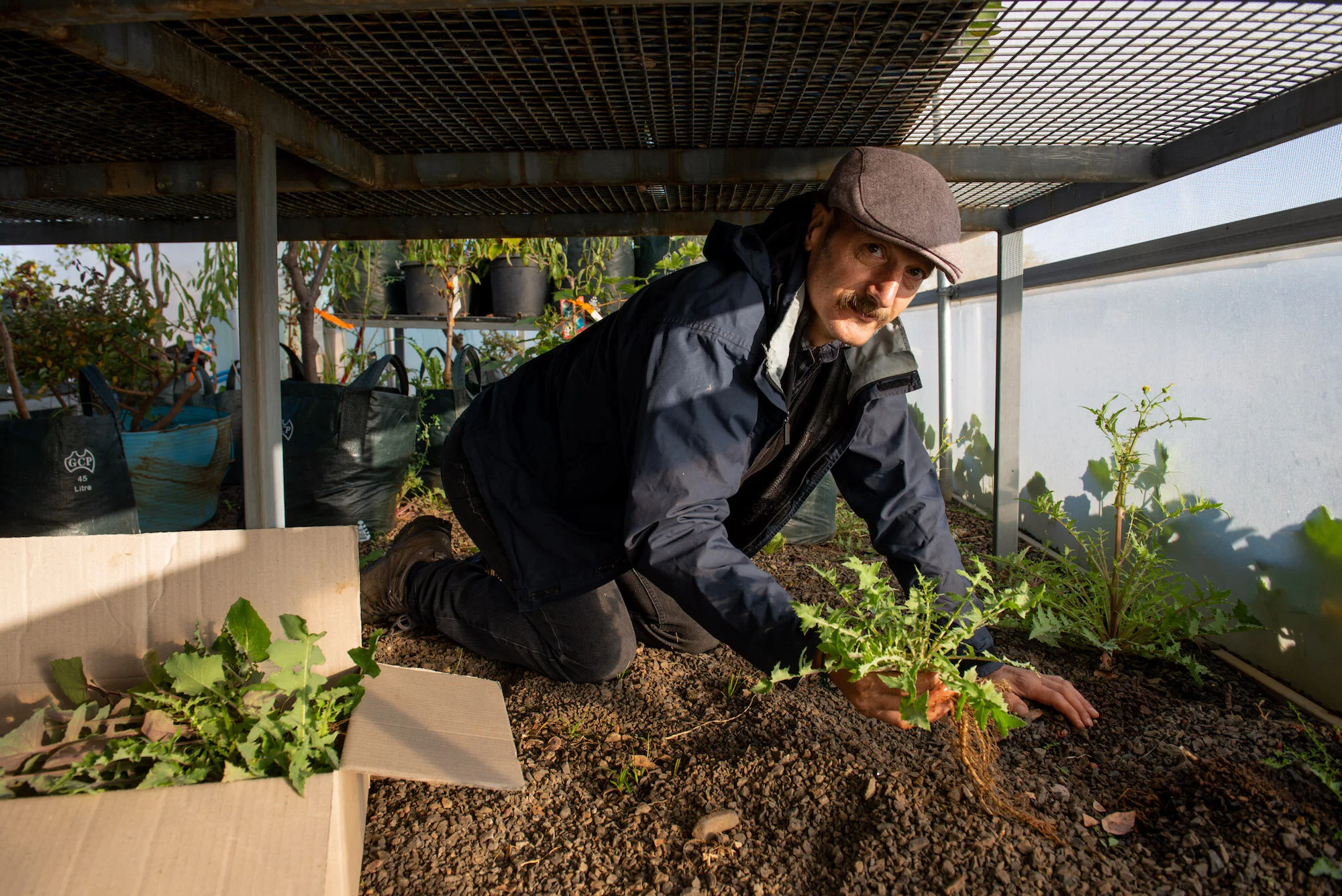 'The work that art does'- A review of Kandos School of Cultural Adaptation