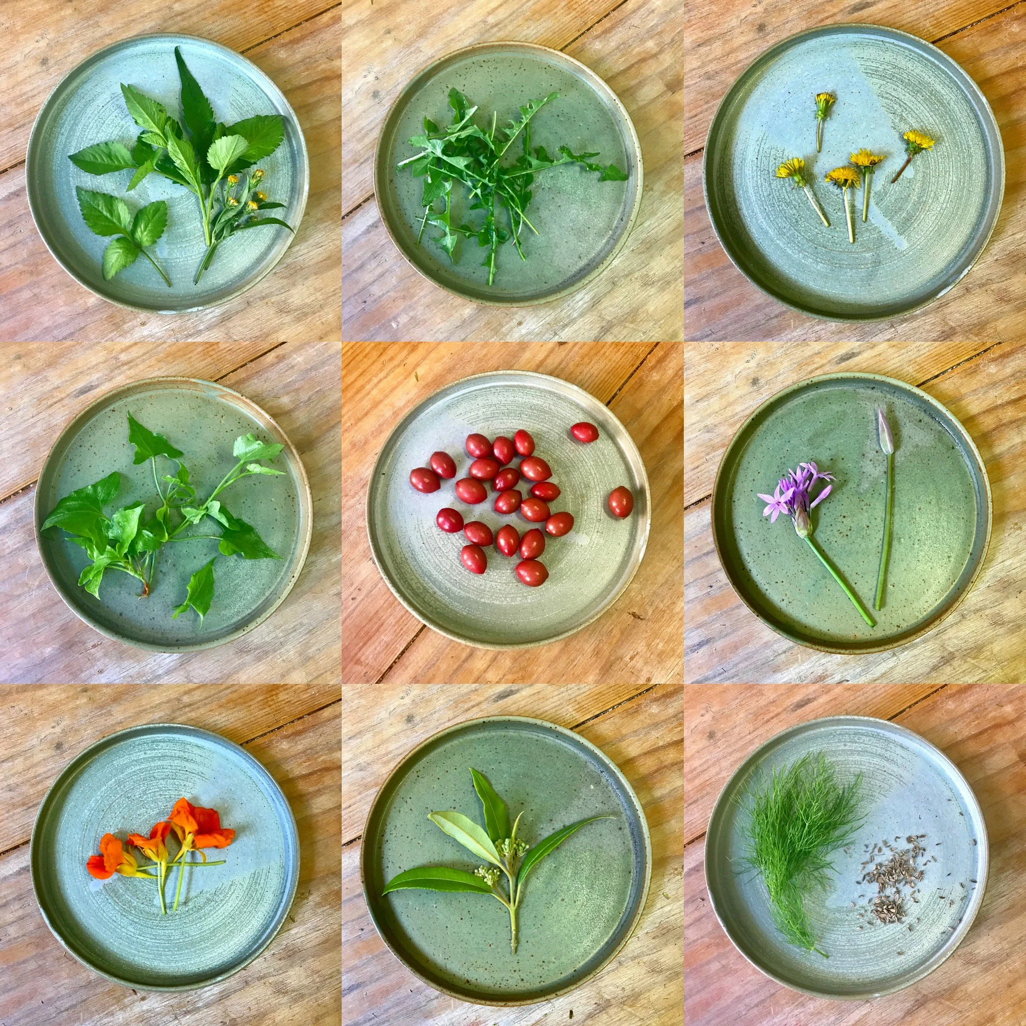 Plates.JPG