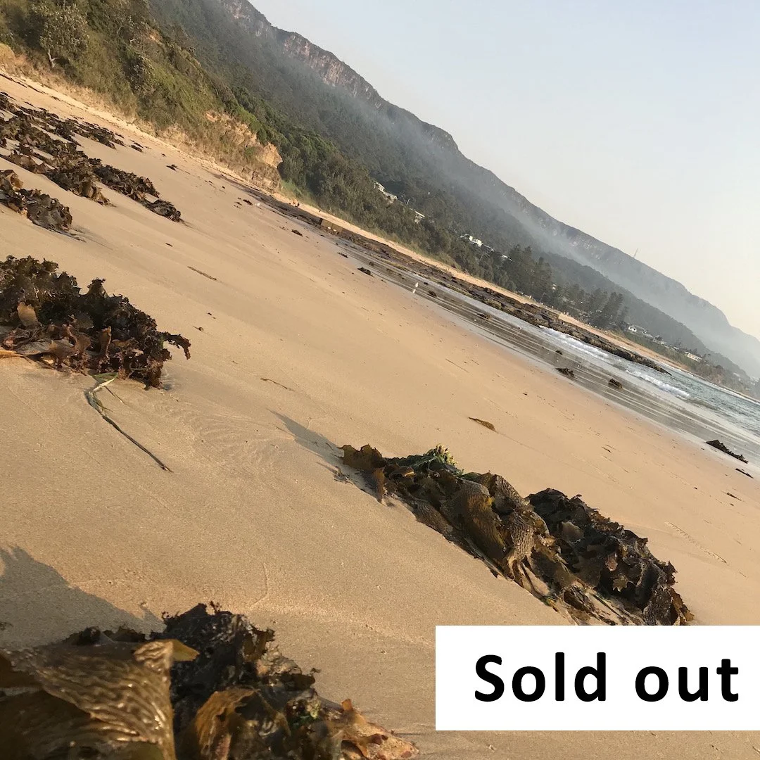 South Coast Seaside Foraging, February 28