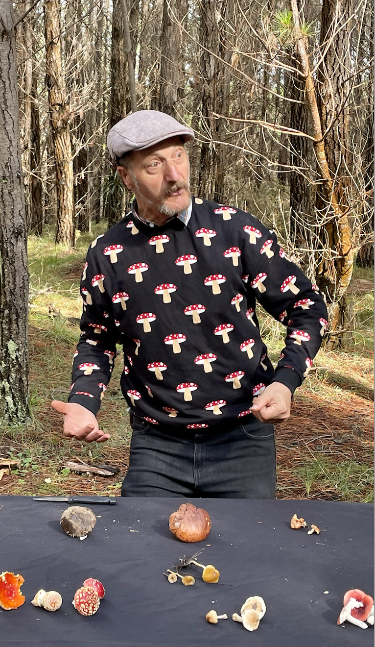 Screen Shot 2022-12-09 at 11.19.03 am.png