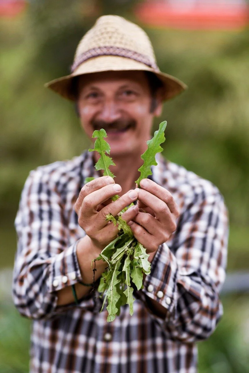 Wild food foraging: who does it and why