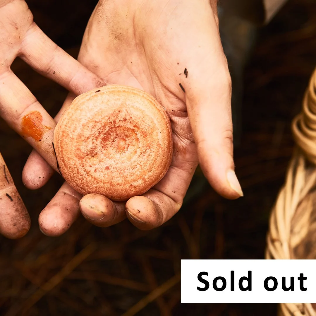 Tickets & Bookings foraging wild food — Wild Plants, Foraging